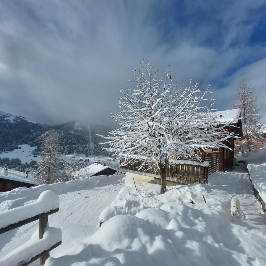 Chambre D'Hotes L'Ours Bleu Les Diablerets Exterior foto