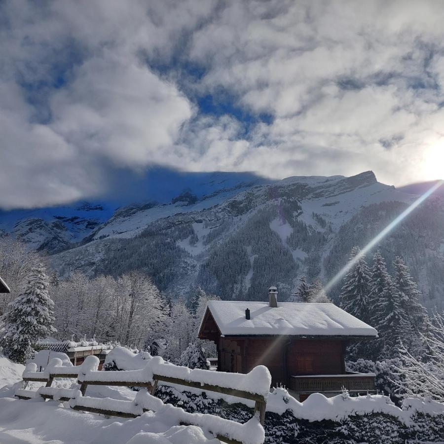 Chambre D'Hotes L'Ours Bleu Les Diablerets Exterior foto